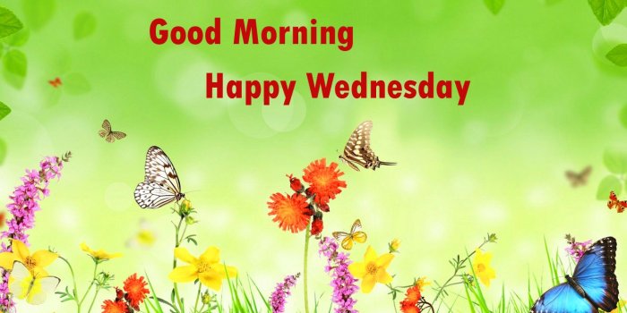 1320x825 211+ Good Morning Wednesday Images Greetings Picture For Whatsapp
