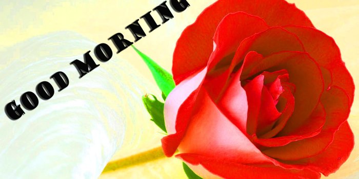 1743x1011 Awesome Good Morning Images For Facebook Free Download - dgreetings