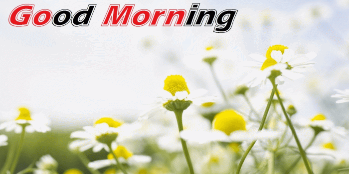 1600x1200 Good Morning Friends Wallpapers For Facebook