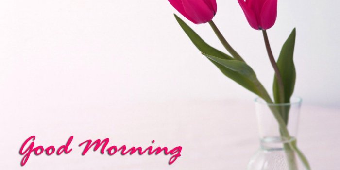 1379x1104 Sunday Good Morning Quotes Images Wishes Wallpaper Photo Pics