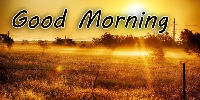 2560x1440 Good Morning Sunrise Pictures, Photos, and Images for Facebook
