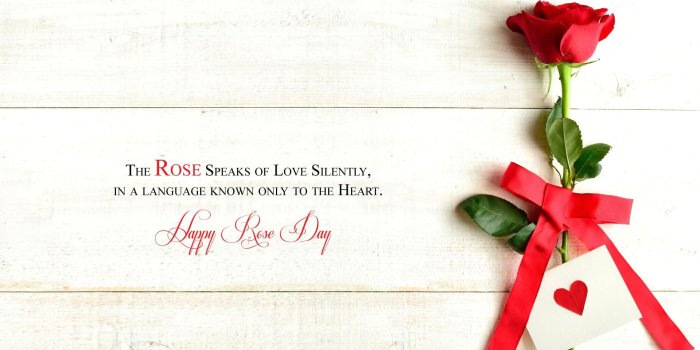 1920x1080 3587 Th Feb Valentine Rose Day Wallpaper Facebook Whatsapp