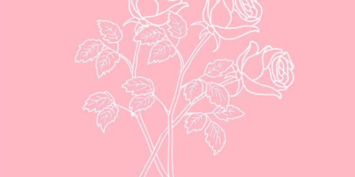 750x1334 Mikala Crossno on Aesthetics | Pink aesthetic, Baby pink