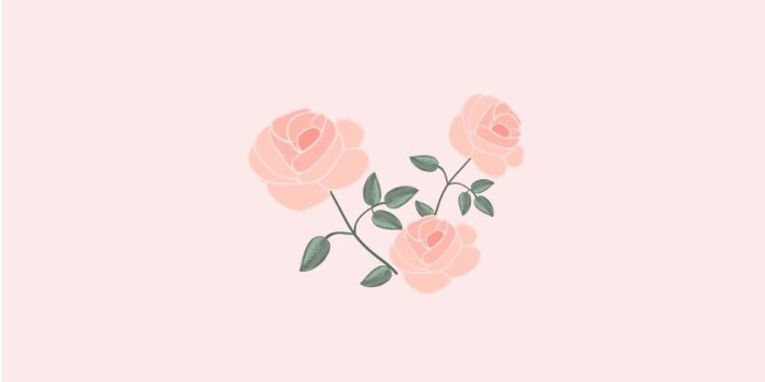 983x966 Pink Peach Wallpaper Baby