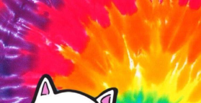 686x1280 Wallpaper | Middle-Finger Cat | aesthetics, covers & wallpapers