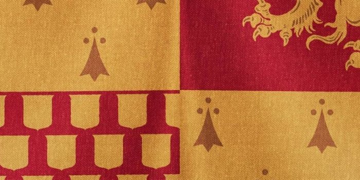 1080x1920 80+ Gryffindor Wallpapers on WallpaperPlay