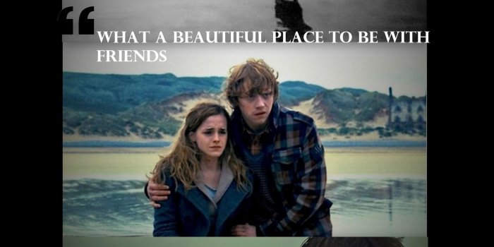 1961x2560 Funny Harry Potter Wallpapers - Top Free Funny Harry Potter