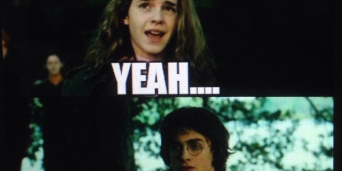 1080x1920 Um, no | Harry Potter in 2019 | Harry potter fandom, Harry potter