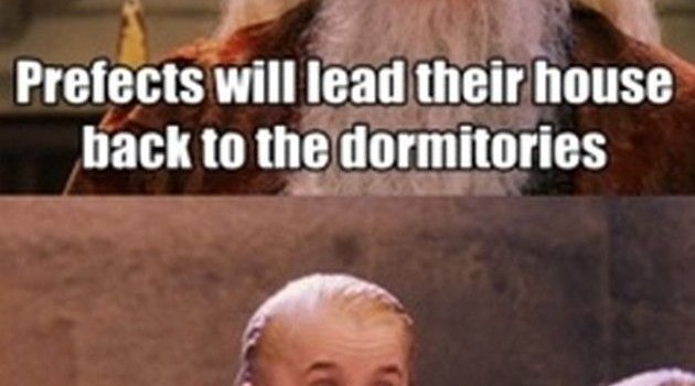 630x1861 Funny Captioned Pictures Harry Potter | Wallpapers Plain