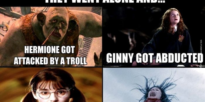 1272x1219 Funny Harry Potter Pictures | gabybarrosv