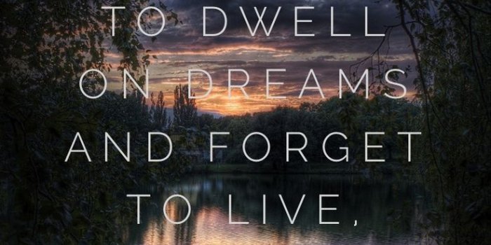 736x1160 Harry Potter Wallpaper For Android - (48+) Group Wallpapers