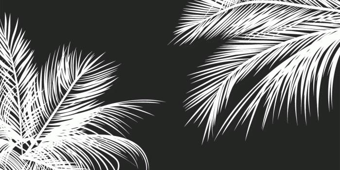 1081x1921 Black and White Wallpapers - Top Free Black and White Backgrounds