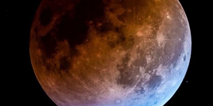 1080x1920 Super Blue Blood Moon Android Wallpaper - 2019 Android Wallpapers
