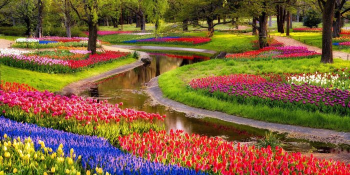 1920x1200 64+ Beautiful Garden Wallpapers on WallpaperPlay