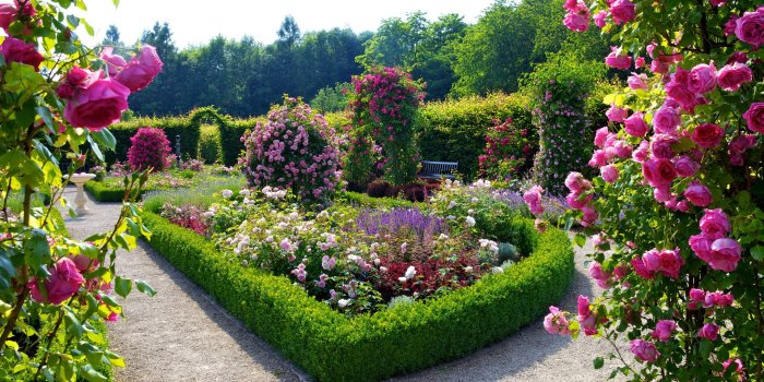 1920x1280 Flower Garden Wallpapers | Best Wallpapers