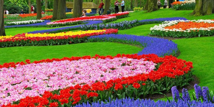 1920x1080 Wallpaper's Collection: «Flower Garden Wallpapers»