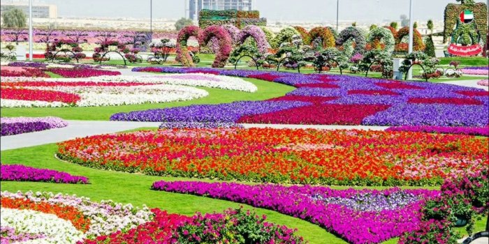 1280x720 Beautiful nature flower garden wallpaper