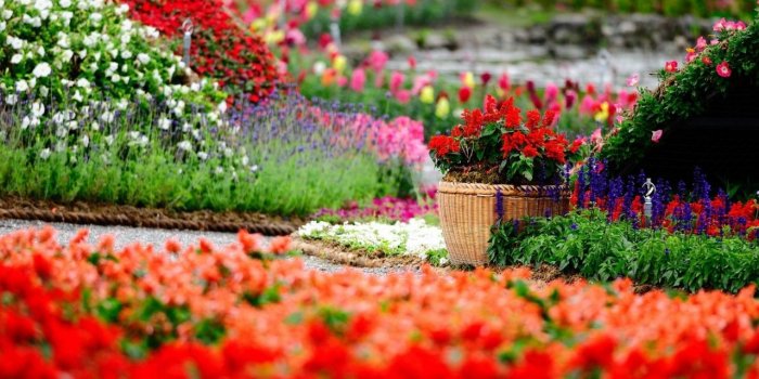 1280x804 Flower Garden wallpapers | Flower Garden stock photos
