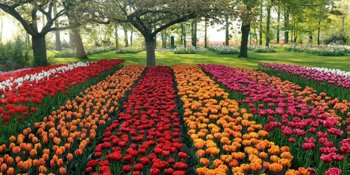 1920x1200 64+ Beautiful Garden Wallpapers on WallpaperPlay