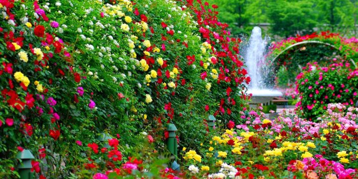 1280x856 Flower Garden Wallpapers 1080p #46IJ8G4 | WallpapersExpert.com