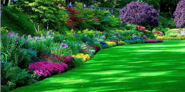 1600x900 420+ Park HD Wallpapers and Backgrounds