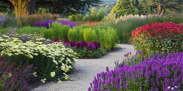 1920x1080 Flower Garden Desktop Wallpapers - Top Free Flower Garden Desktop