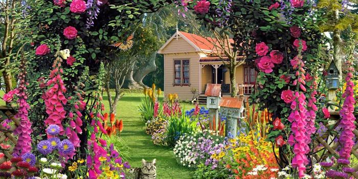 1316x987 Beautiful, Flower, Garden, Wallpaper, HD Free Photos, Cool, Home