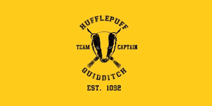 1366x800 harry potter hufflepuff quidditch snitch quaffle bludger hogwarts