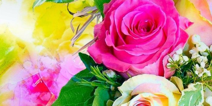 1080x1920 Rose Flower Wallpaper Hd - Mobile Wallpapers Flowers Rose (#138821