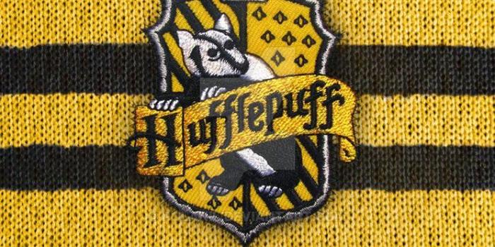 744x1075 Related Wallpapers - Harry Potter Wallpaper Hufflepuff Iphone, Hd