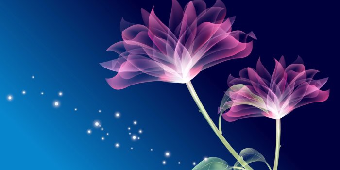 1920x1200 Cool abstract flower wallpaper HD