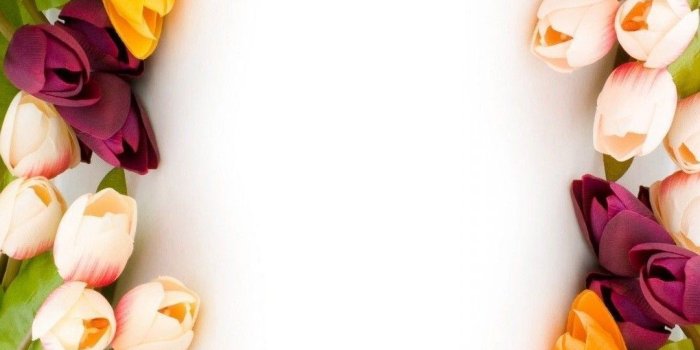 1080x1920 Best of Flowers HD Wallpapers - Top Free Best of Flowers HD