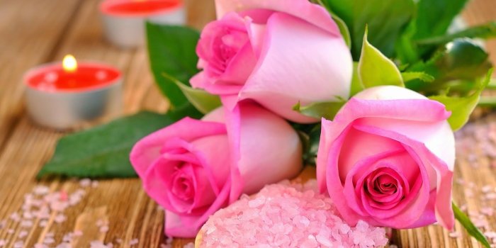 1600x1096 New Latest Top HD Flowers Wallpapers 2014 | Amazing Photo Stock