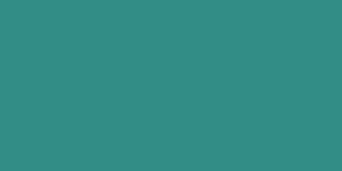 750x1334 Medium sea green wallpaper for iPhone (solid color) | Use this BLOG