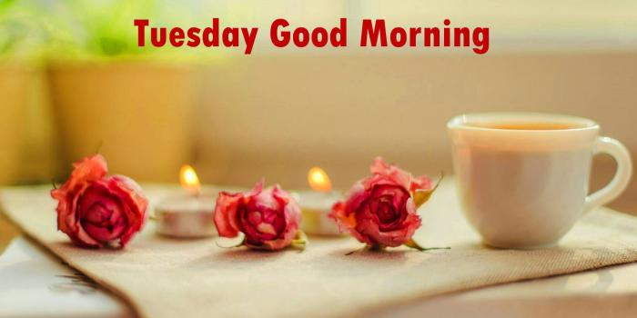 1578x981 131+ Tuesday Good Morning Quotes Images Pics for Whatsapp