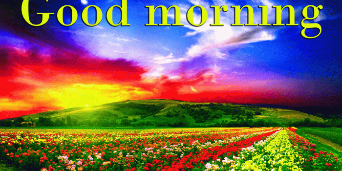 1920x1080 45+ Good morning wishes on tuesday Images Wallpaper Pics Download