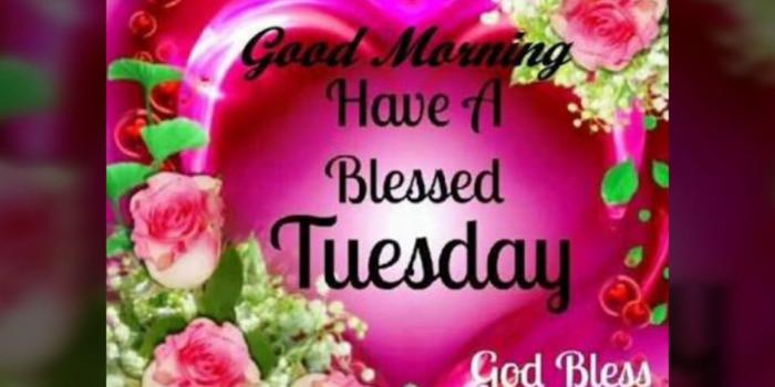 1280x720 Happy good morning tuesday images, beautiful wallpapers, video, whatsapp  images and status
