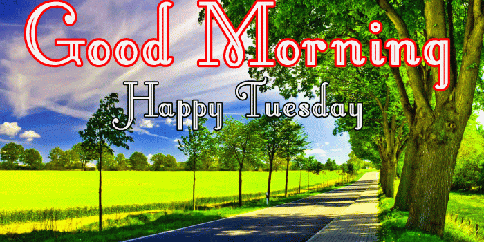 1980x1071 131+ Tuesday Good Morning Quotes Images Pics for Whatsapp