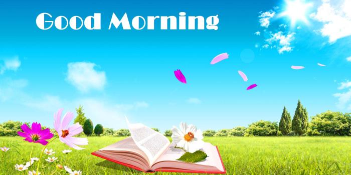 1920x1080 281+ Tuesday Good Morning Images Photo Pictures Pics With Quotes