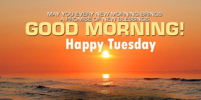 1024x768 131+ Tuesday Good Morning Quotes Images Pics for Whatsapp