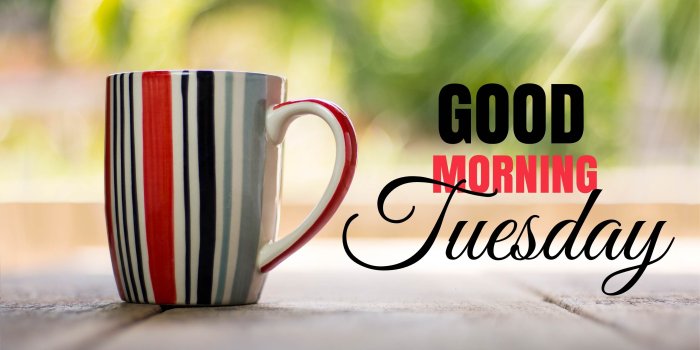 3072x2048 Good Morning Tuesday 4k Ha Wallpaper - Good Morning Tuesday (#814512