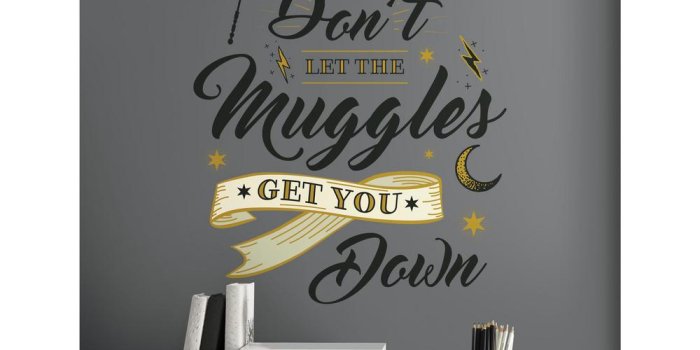 1000x1000 5 in. x 19 in. Harry Potter Muggles Quote 6-Piece Peel and Stick Giant Wall  Decals