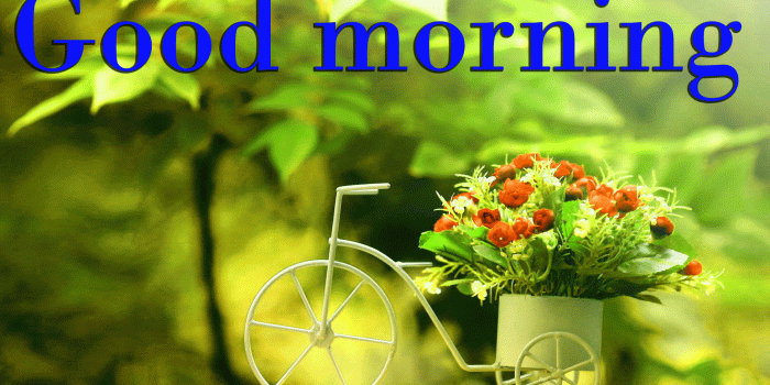 2208x1242 45+ Good morning wishes on tuesday Images Wallpaper Pics Download