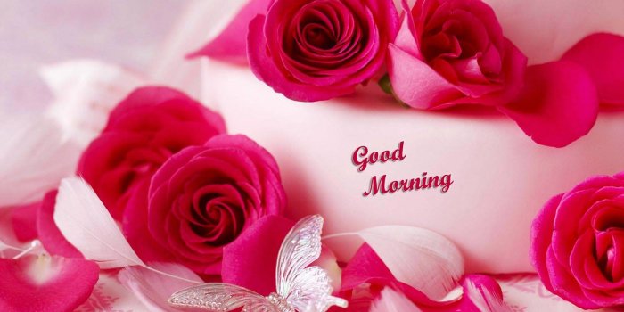 1600x1000 48+] Romantic Good Morning Wallpaper on WallpaperSafari