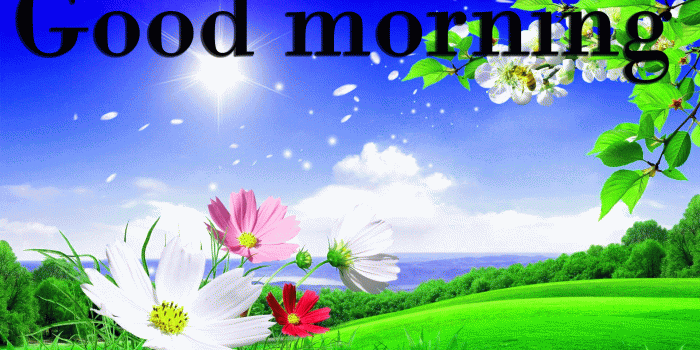 1920x1080 45+ Good morning wishes on tuesday Images Wallpaper Pics Download