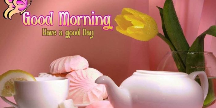 1100x780 good morning wallpaper images download 2018 | mornings q & eve