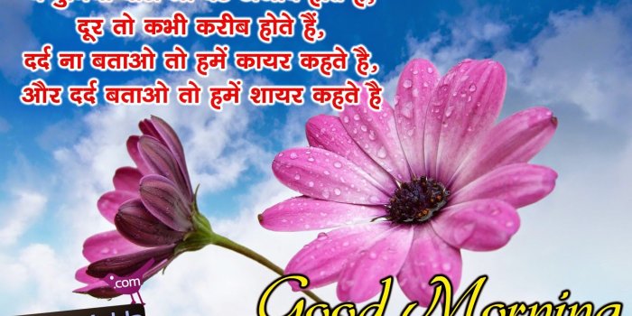 1440x900 Good morning Wedness day Wishes , images , quotes and Wallpapers