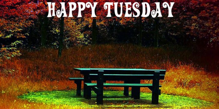 1082x1000 45+ Good morning wishes on tuesday Images Wallpaper Pics Download