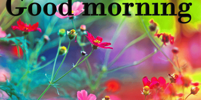 1920x1080 45+ Good morning wishes on tuesday Images Wallpaper Pics Download