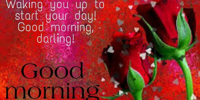 1080x847 Good Morning Love Images, Pictures, Photos & HD Wallpapers - Fragmented